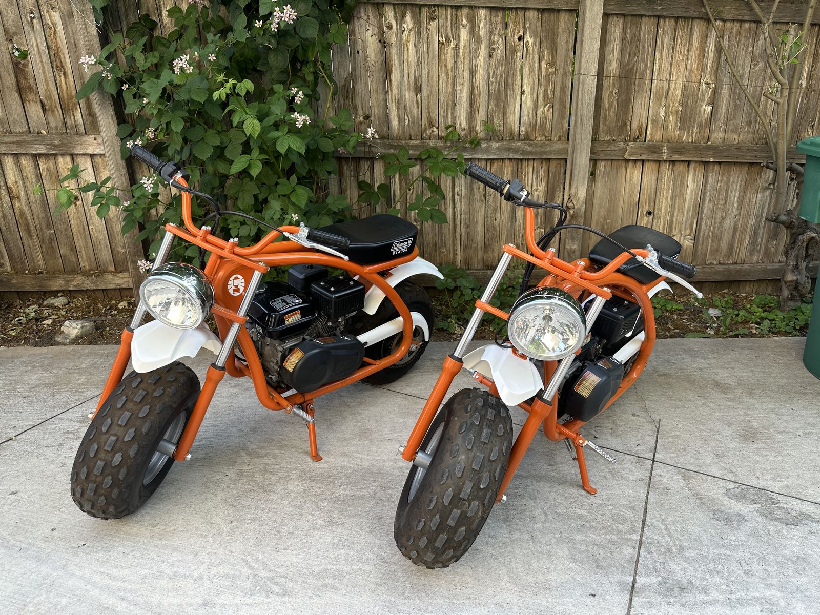 Coleman BT200X (2)