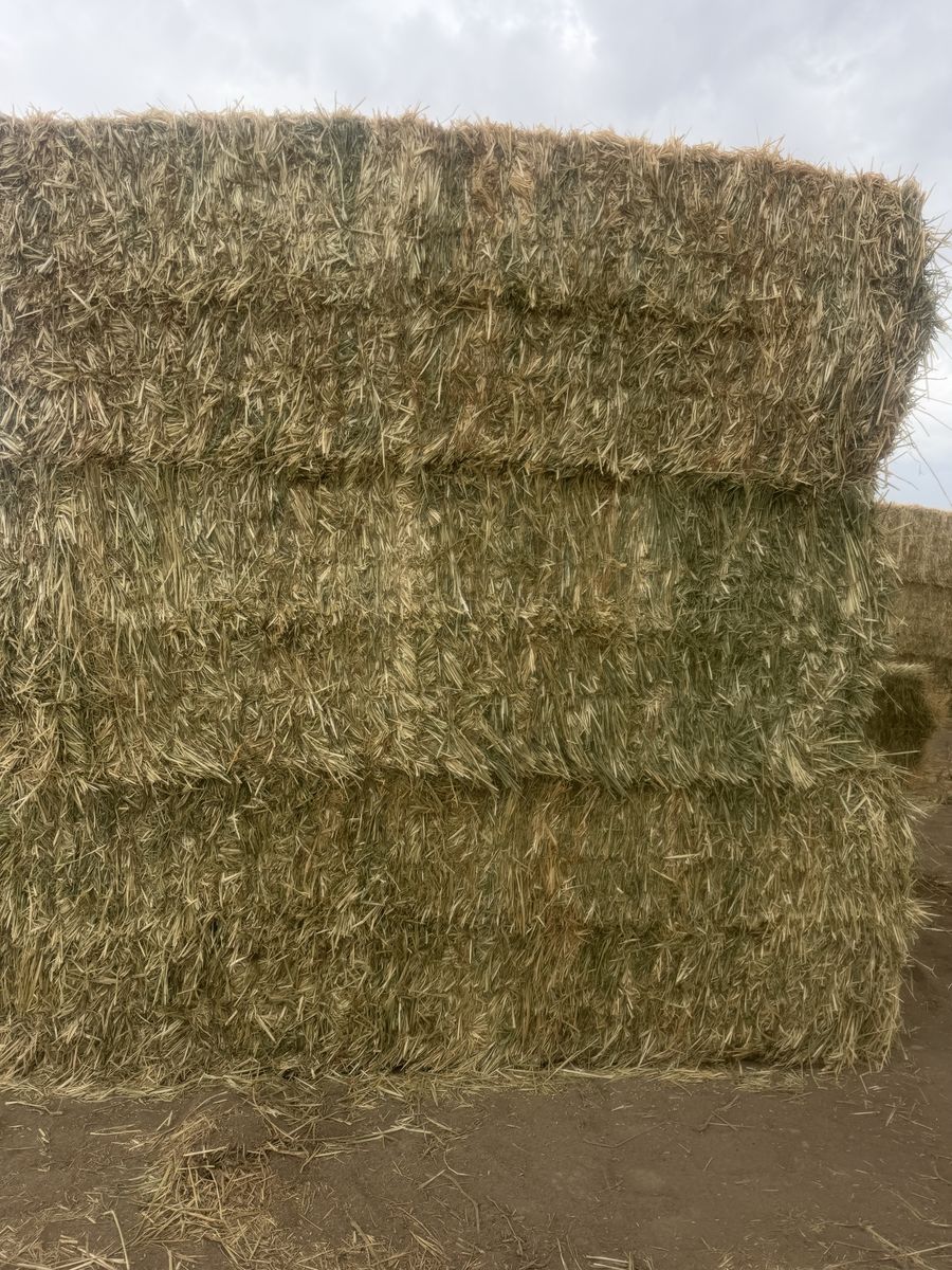 3-way hay