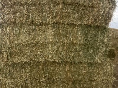 3-way hay