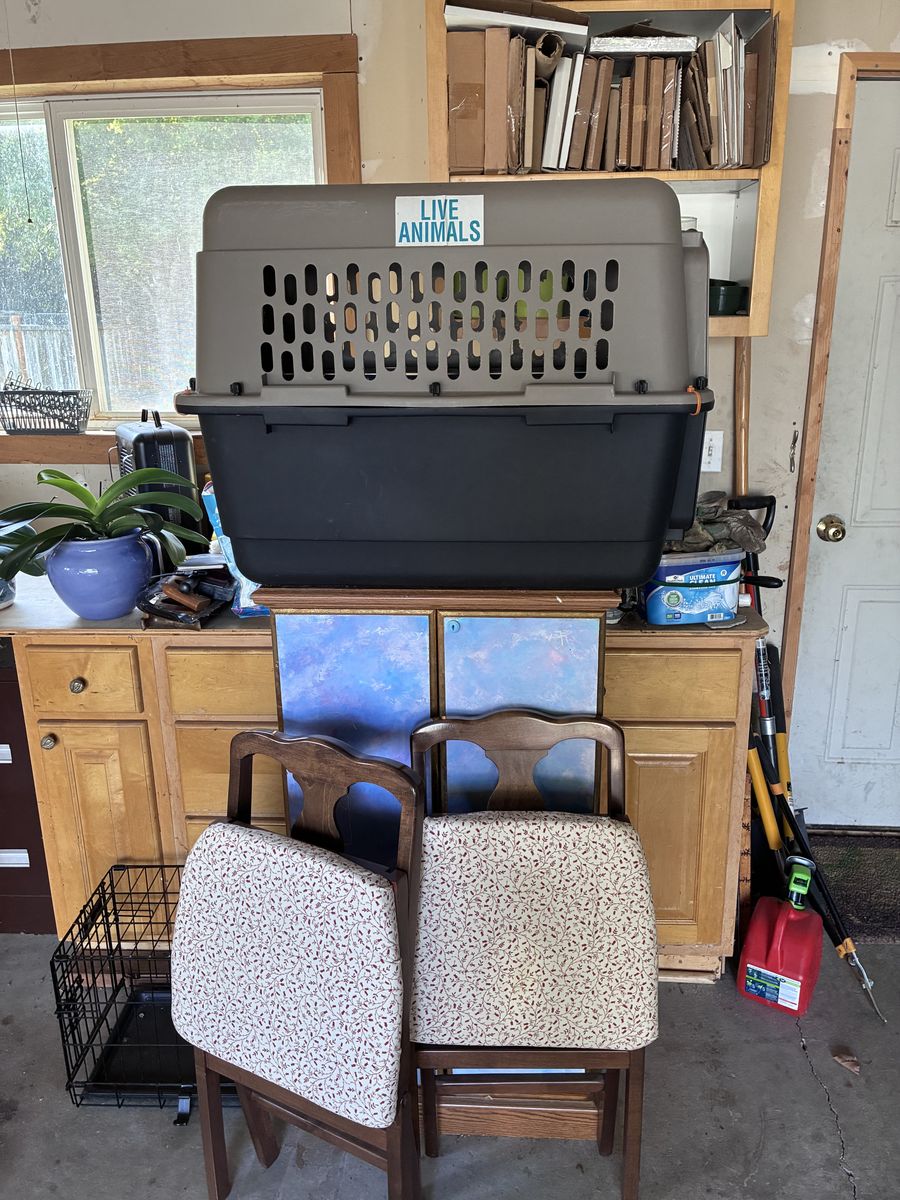 Moving to Alaska Sale! Birdcage, Trampoline, Accordions, Cornet, 100s of books, kitchen utensils, lawn and gardening equipment
