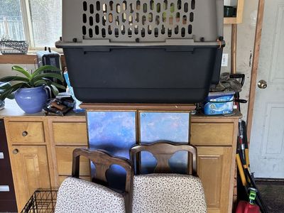 Moving to Alaska Sale! Birdcage, Trampoline, Accordions, Cornet, 100s of books, kitchen utensils, lawn and gardening equipment