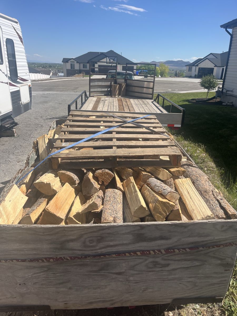 Firewood