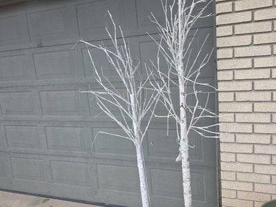 Pair of White Birch LED Light Trees - Decorative Seasonal Outdoor/Indoor Lighting