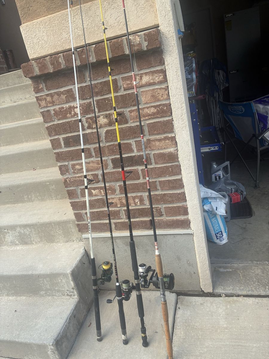 Fishing rods and reels