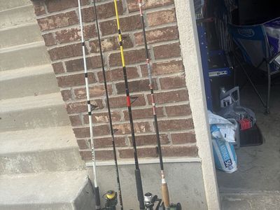 Fishing rods and reels