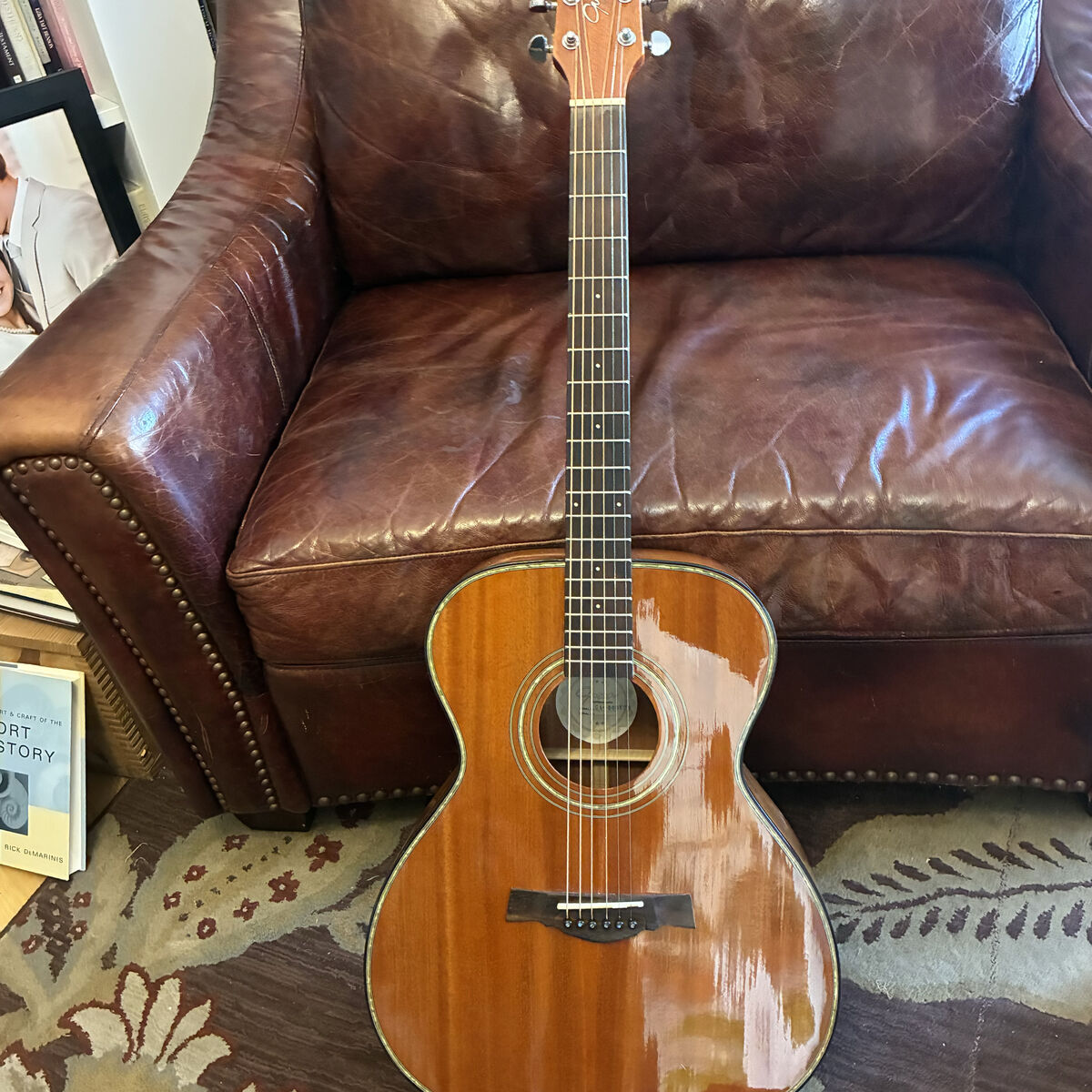 acoustic/electric guitar
