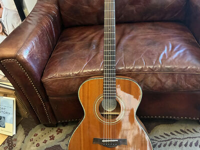 acoustic/electric guitar