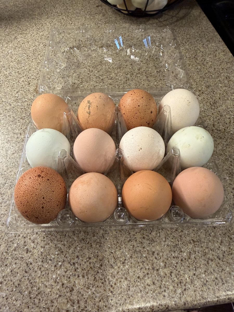 Farm Fresh Eggs