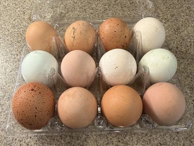Farm Fresh Eggs