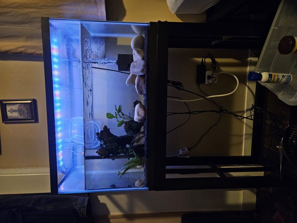 29 Gallon Fish tank full setup