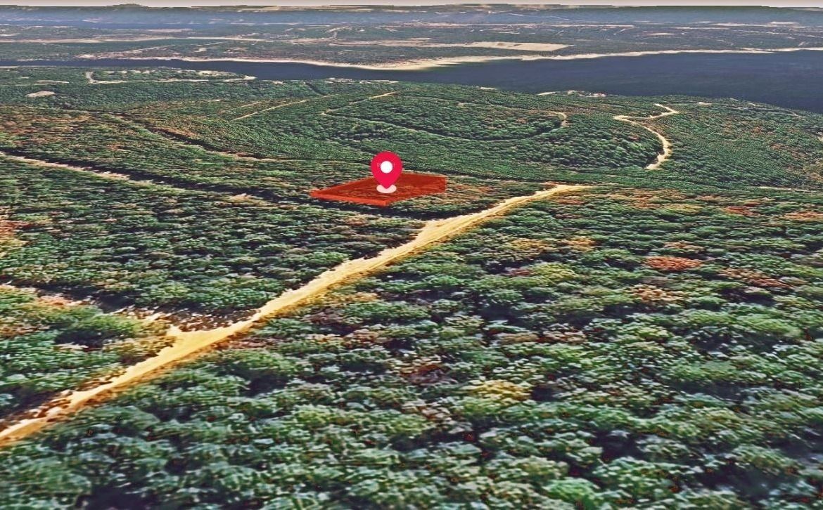 Main image 6