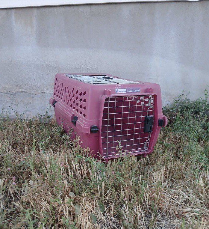 Small Pet Carrier, Crate, Kennel 11 in tall