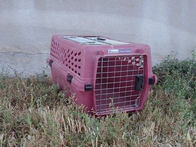 Small Pet Carrier, Crate, Kennel 11 in tall