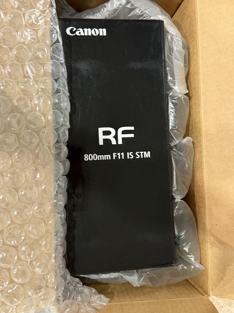 Canon RF 800mm wildlife