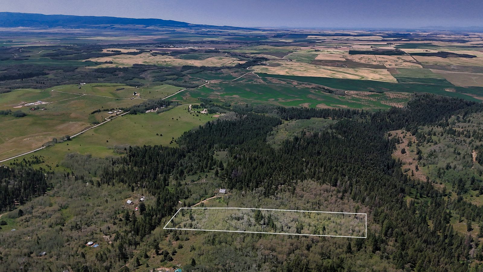 Main image 25