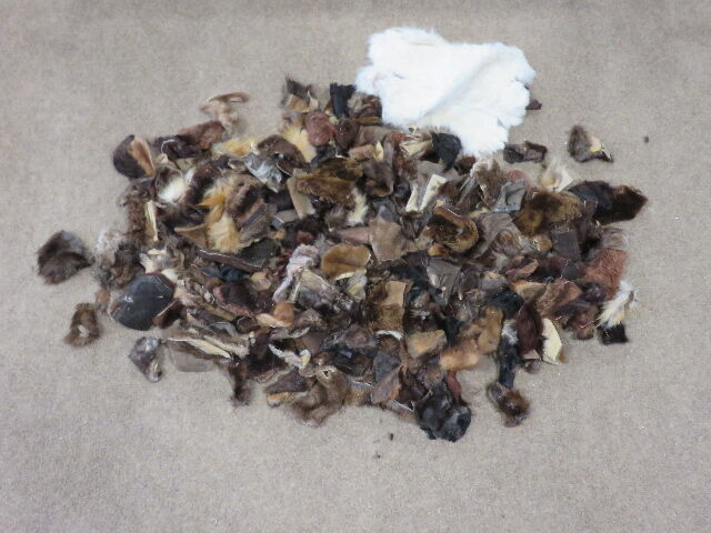 MASSIVE LOT OF CRAFTING FUR PIECES/SCRAPS - FOX, MINK, RABBIT, ETC.