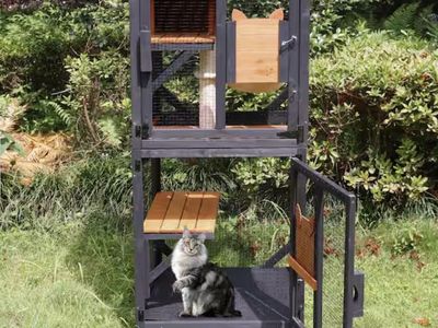 Spacious Wooden Outdoor Catio Enclosure with 3 Platforms and Cat Tree for 2-3 Cats