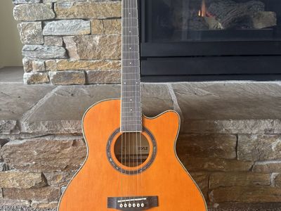 PYLE Acoustic Guitar