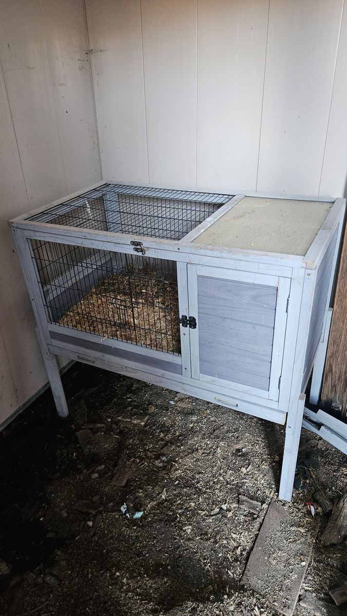 Rabbit Hutch