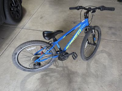 24” Schwinn Thrasher