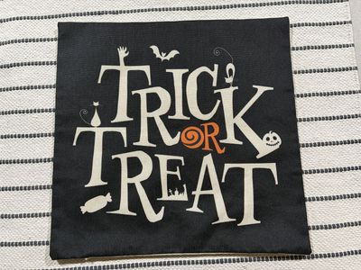2 Halloween Pillow Covers 18x18