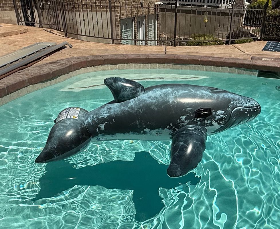 Whale Ride-On Intex Inflatable Pool Water Float, 79" x 53"