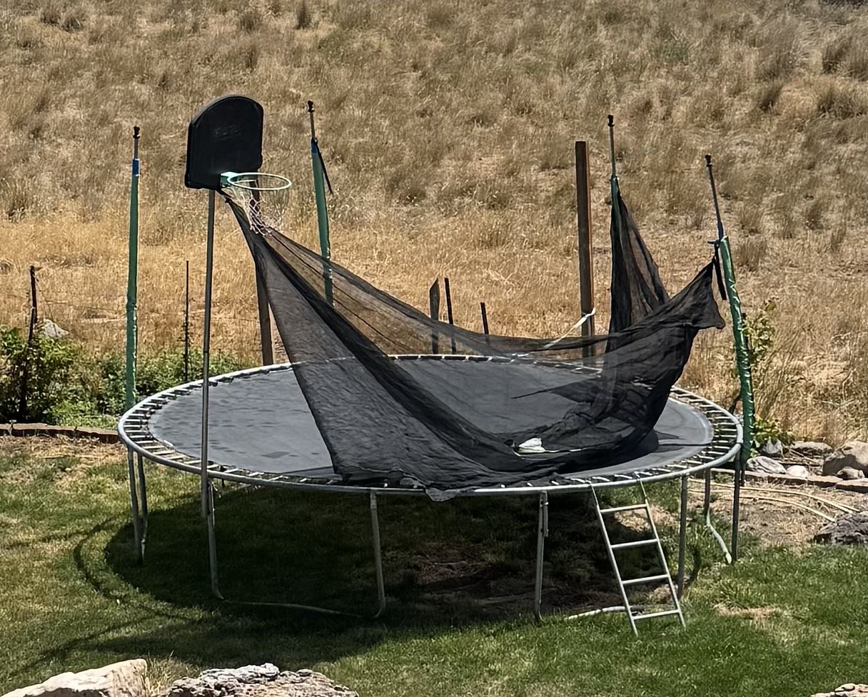 Trampoline, Full Size