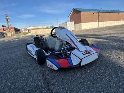 125cc rotax evo max go kart