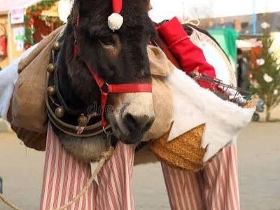 April Fools Dancing Donkey