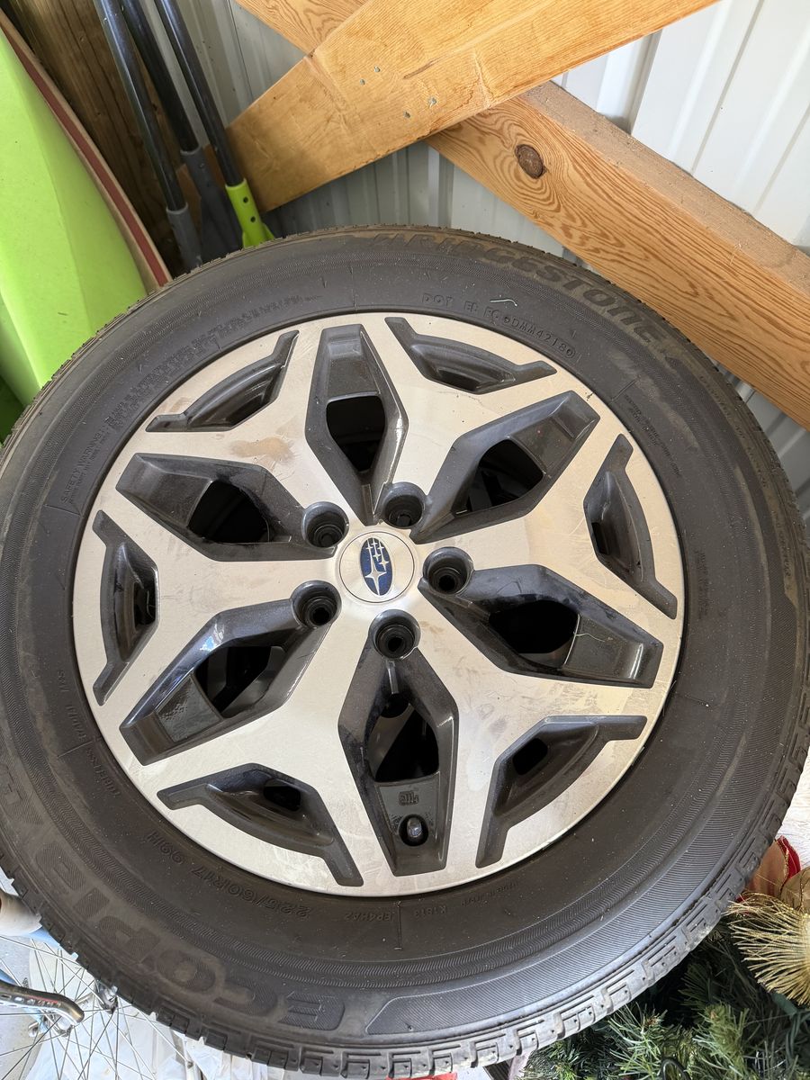 2019 Forster wheels and tires