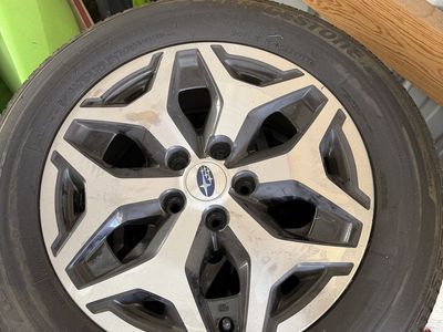 2019 Forster wheels and tires