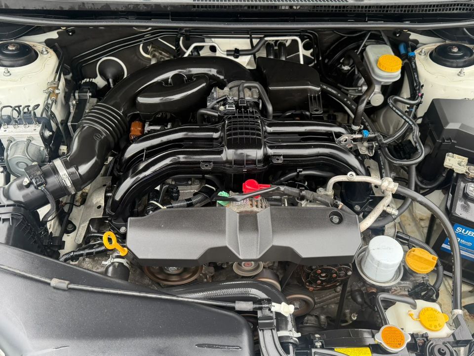 Main image 20
