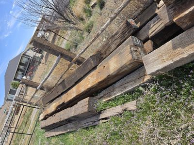 railroad ties (variety of sizes)