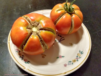 Tomatoes on a plate - Jigsaw Puzzle