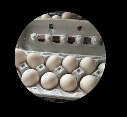 Duck Eggs - Unfertilized