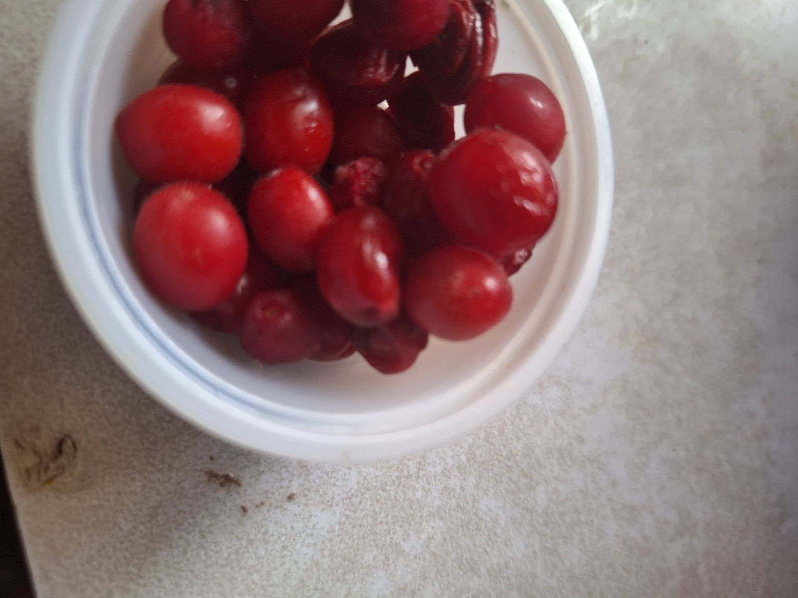 Hackberry, Coffee, Cherry   trees Berry Bushes herbs