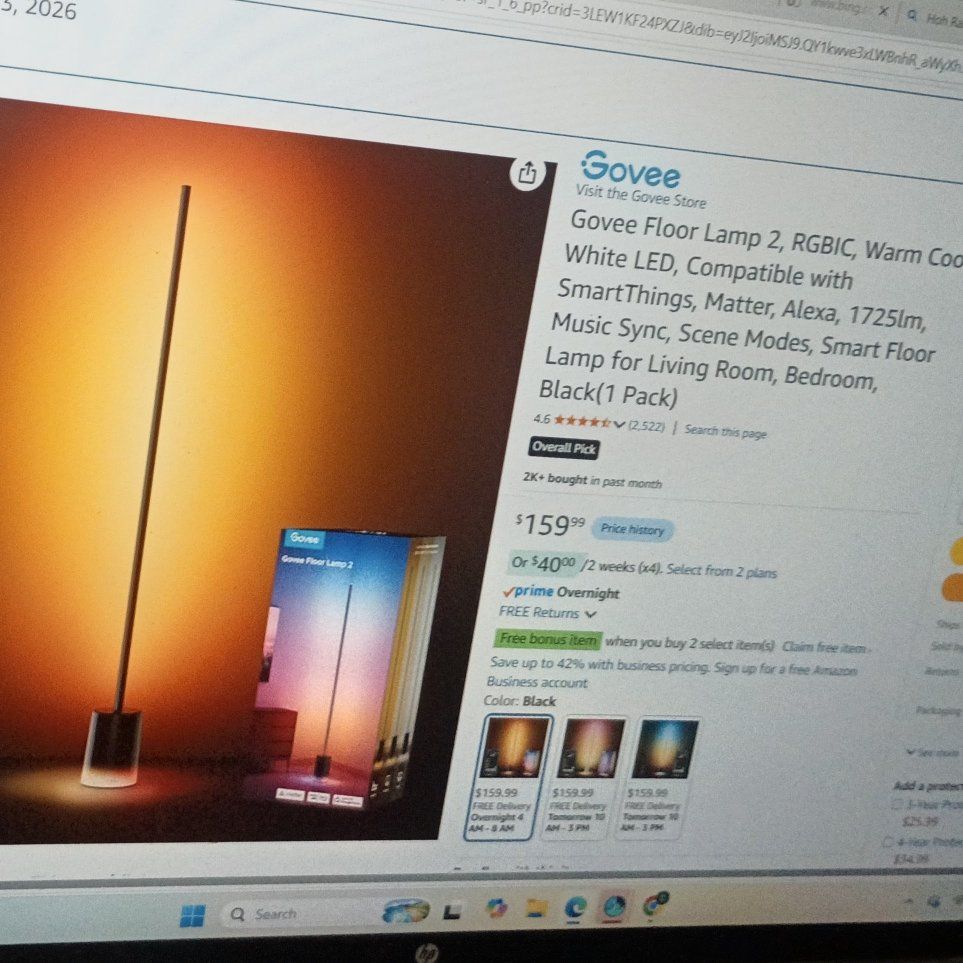 GoVee Floor Lamp