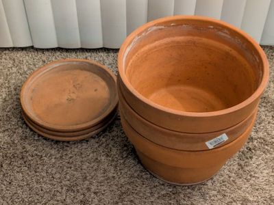 3 Pennington Cone 14.0-in W x 4.13-in L Clay Pots + Terracotta Clay Plant Saucer