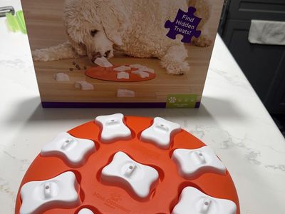 Outward Hound Nina Ottosson Dog Smart Hide, Seek & Treat Puzzle Toy - Easy