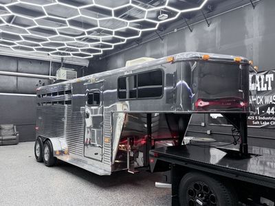 1999 Silver Star 3 Horse