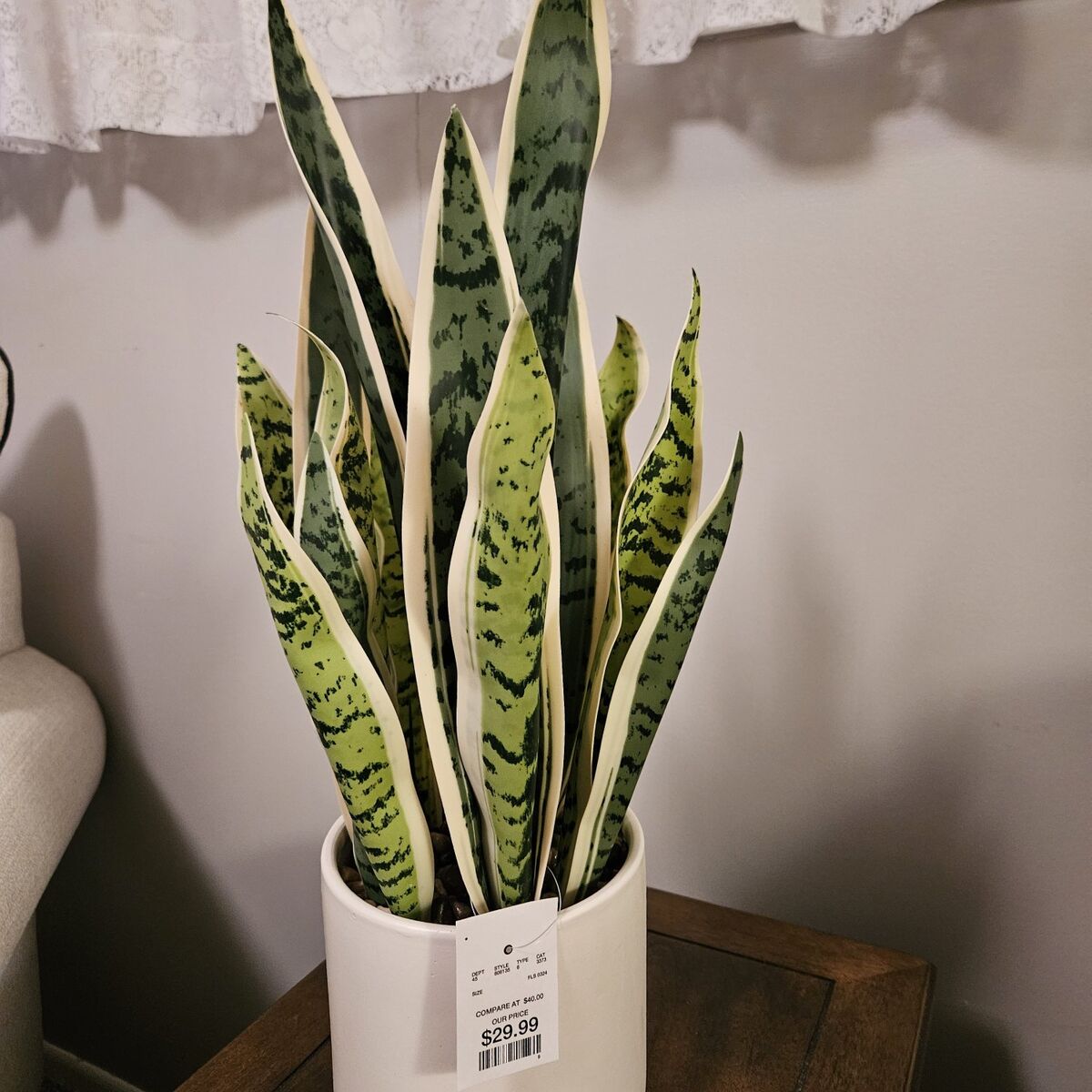 New artifical snake plant