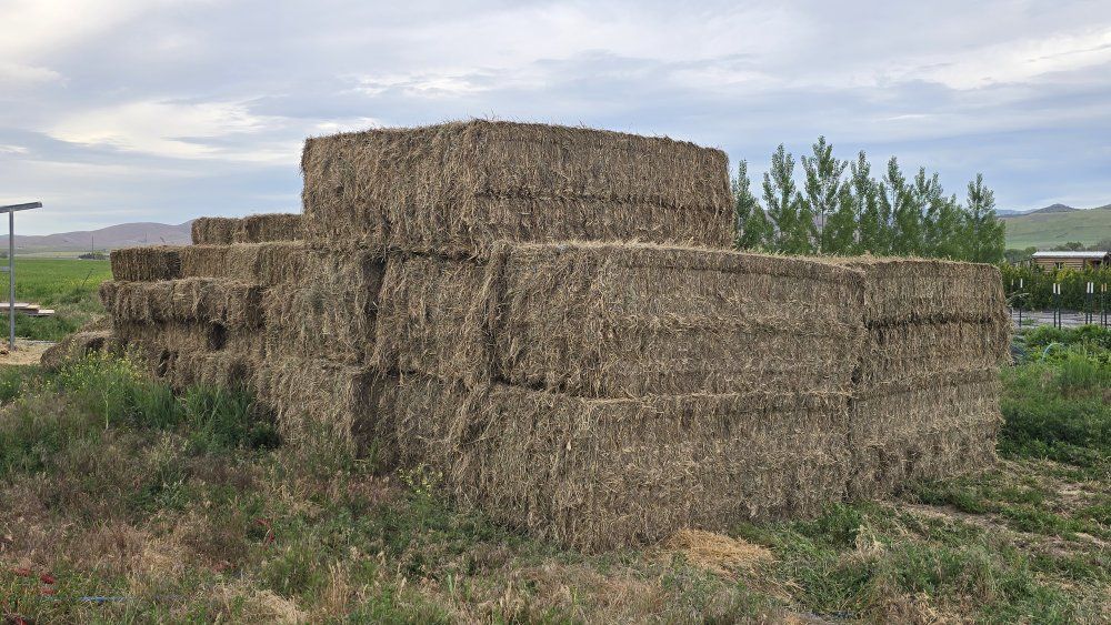 Grass hay