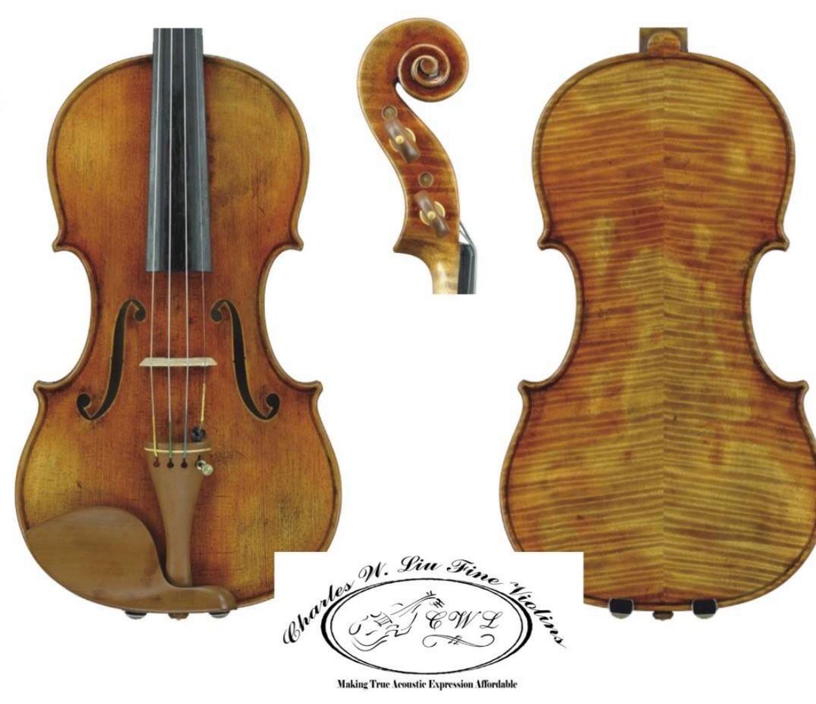 Used String Instruments Wholesale  up to 50 % off
