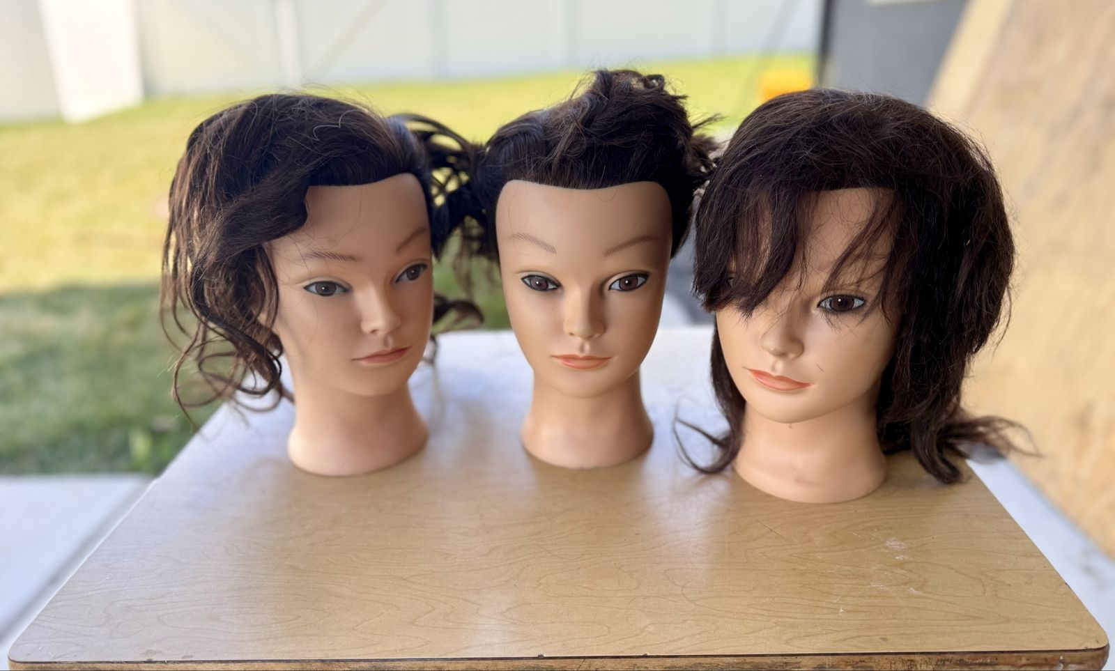 Cosmotology Wheeling Bag And Mannequin Heads