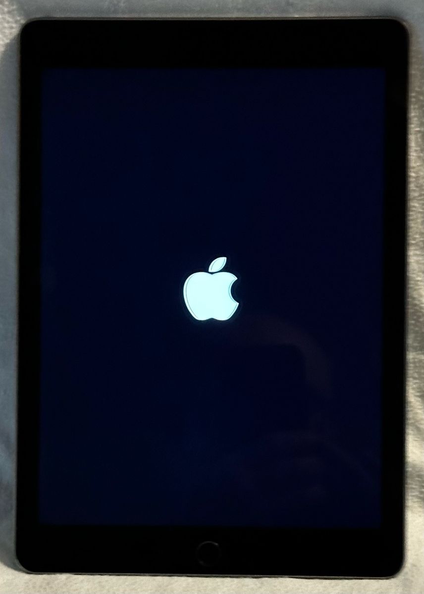 Main image 4