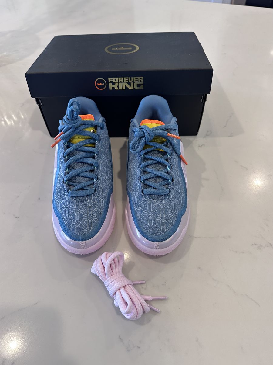 Nike LeBron XXIII BRAND NEW!!