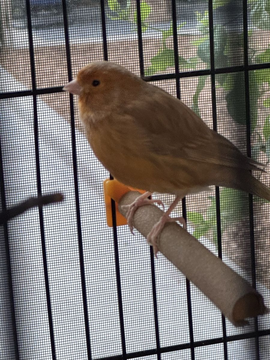 Meet George McFly