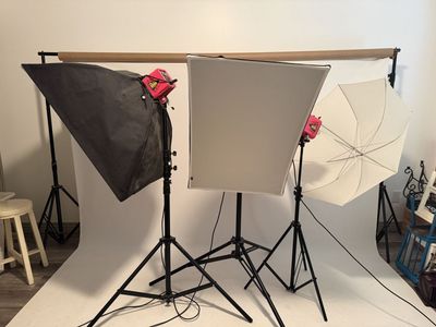 Used photo studio strobes / stands, softboxes, electrical cords. Alien bees 800