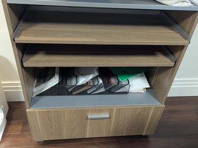 Modern Wood Finish Filing Cabinet with 1 Drawer & Shelves