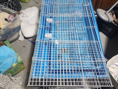 2 free rabbit/ small animal cages